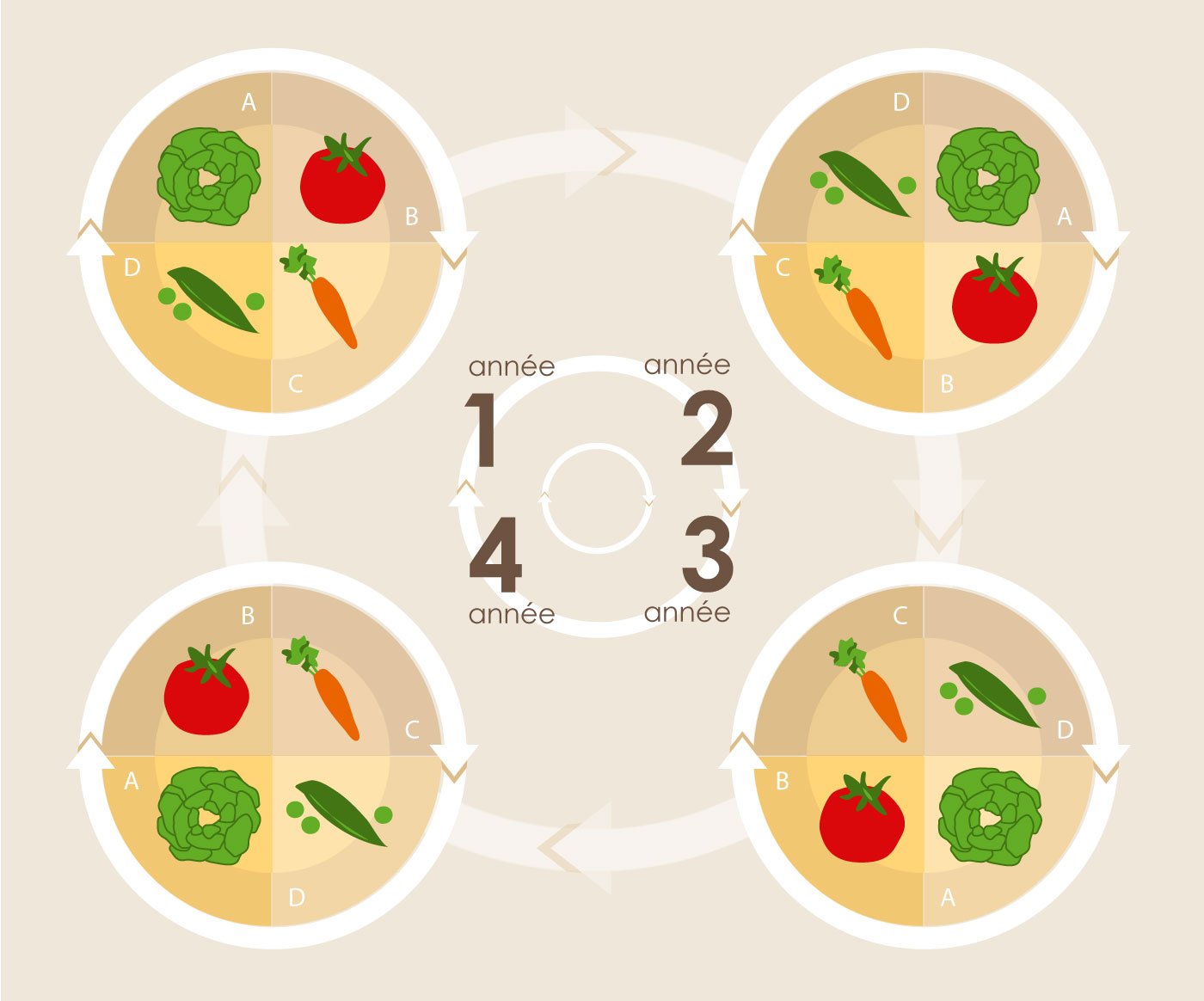 03_rotation_cultures